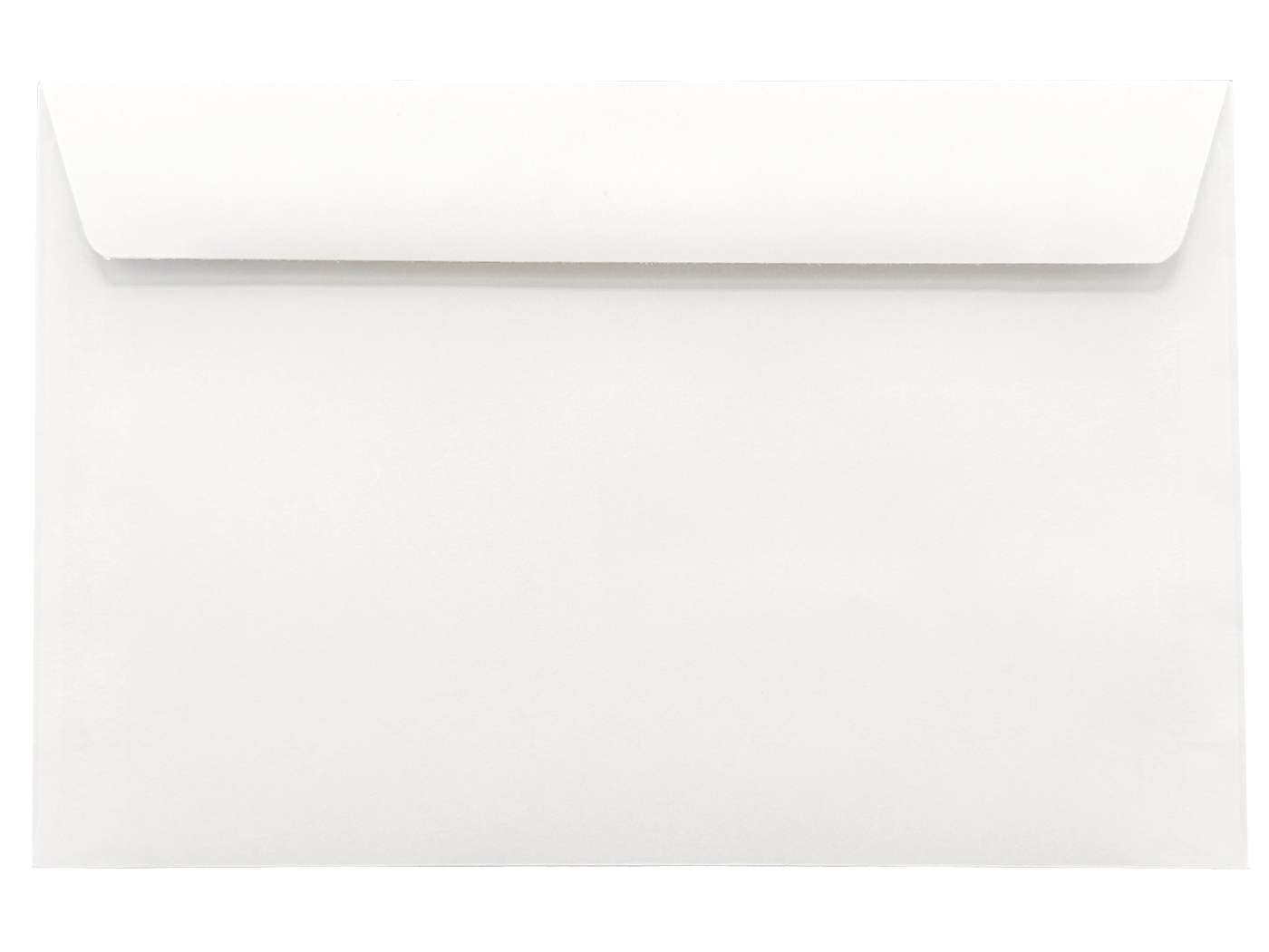 W2/1099 Envelope – Double Window + Security Tinted
