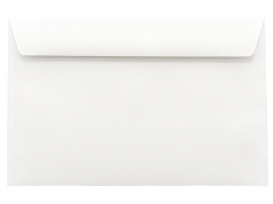 W2/1099 Envelope – Double Window + Security Tinted