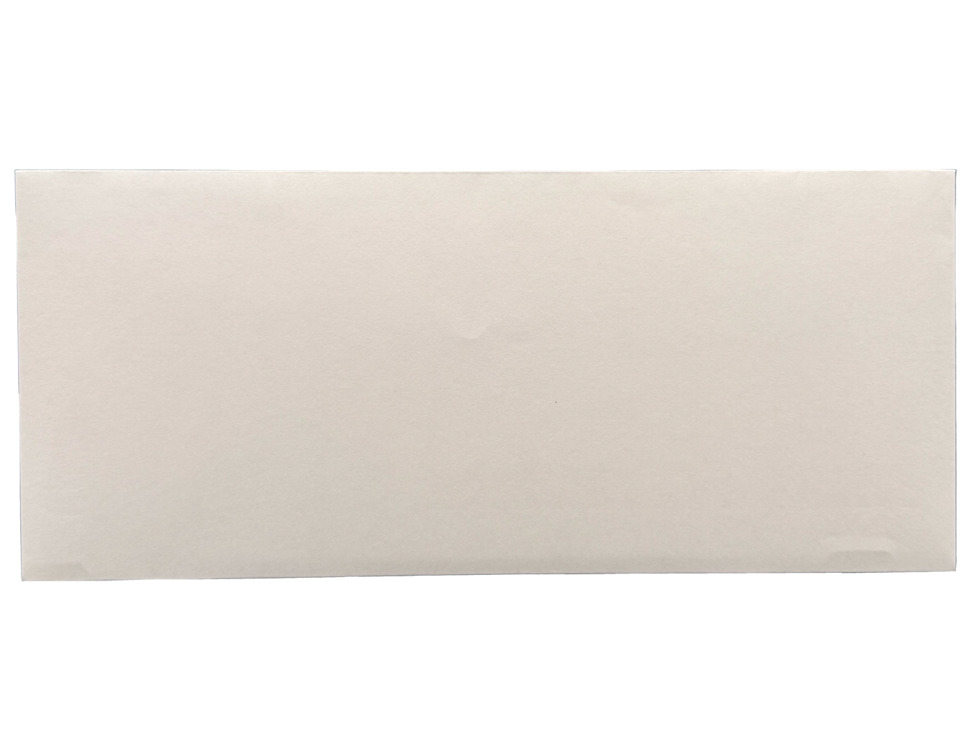 #10 Regular Envelopes