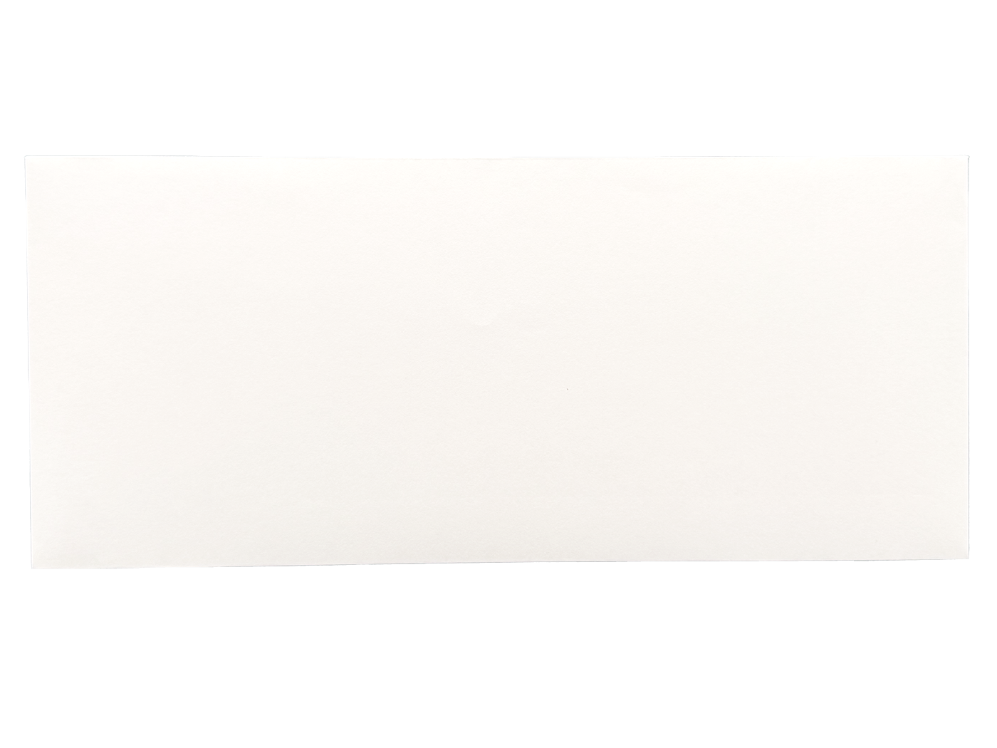 #10 Regular Envelopes