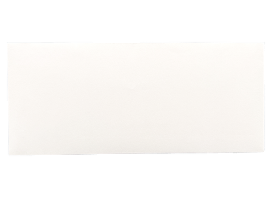 #10 Regular Envelopes