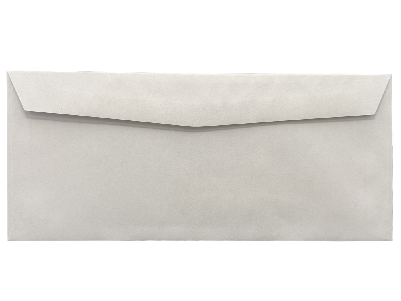 #10 Standard Window Envelopes