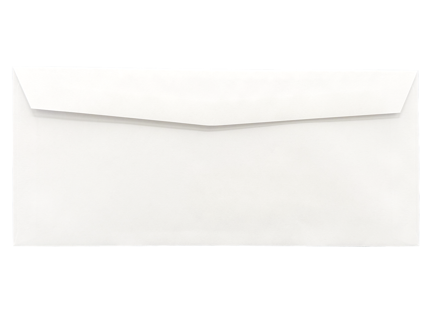 #10 Standard Window Envelopes