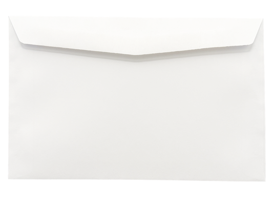 6 x 9 Booklet Envelopes