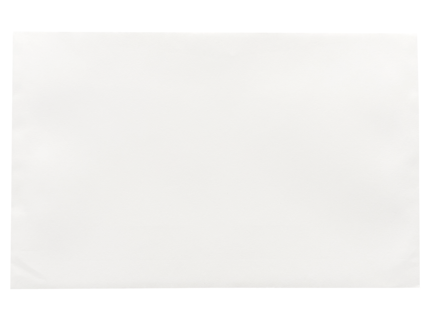 6 x 9 1/2 Booklet Envelopes