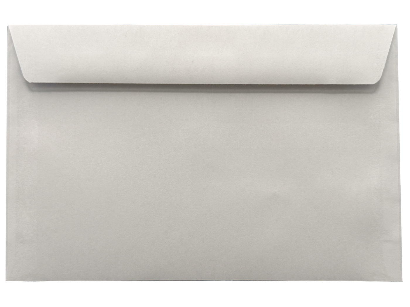 W2/1099 Envelope – Double Window + Security Tinted