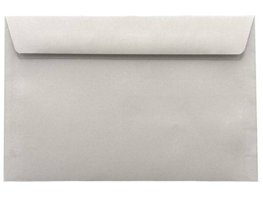 W2/1099 Envelope – Double Window + Security Tinted